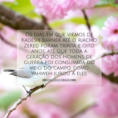 Picture 07 - Deuteronômio 2:14 BSL - Os dias em que viemos de Kadesh Barnea até o - Bible Verse Picture