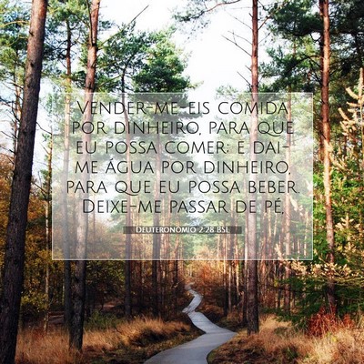 Picture 07 - Deuteronômio 2:28 BSL - Vender-me-eis comida por dinheiro, para que eu - Bible Verse Picture