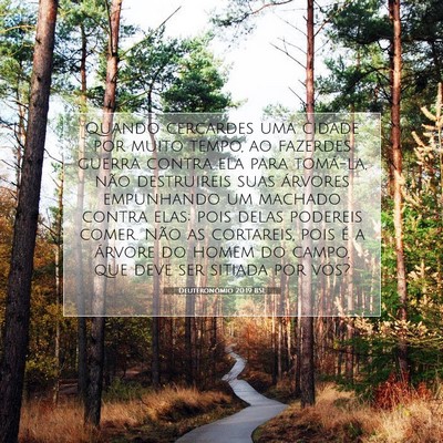 Picture 07 - Deuteronômio 20:19 BSL - Quando cercardes uma cidade por muito tempo, ao - Bible Verse Picture