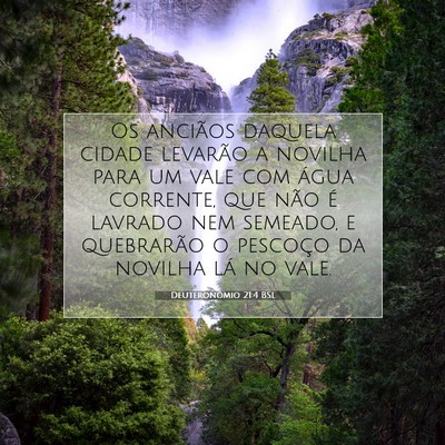 Picture 07 - Deuteronômio 21:4 BSL - Os anciãos daquela cidade levarão a novilha - Bible Verse Picture