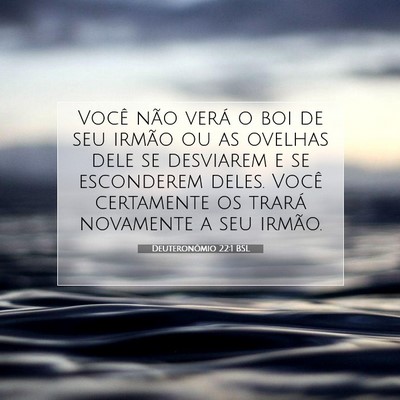 Picture 07 - Deuteronômio 22:1 BSL - Você não verá o boi de seu irmão ou as - Bible Verse Picture