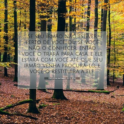 Picture 07 - Deuteronômio 22:2 BSL - Se seu irmão não estiver perto de você, ou se - Bible Verse Picture
