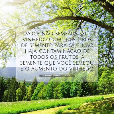 Picture 07 - Deuteronômio 22:9 BSL - Você não semeará seu vinhedo com dois tipos de - Bible Verse Picture