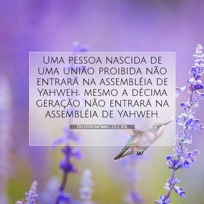 Picture 07 - Deuteronômio 23:2 BSL - Uma pessoa nascida de uma união proibida não - Bible Verse Picture