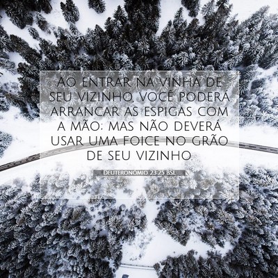 Picture 07 - Deuteronômio 23:25 BSL - Ao entrar na vinha de seu vizinho, você poderá - Bible Verse Picture