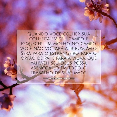 Picture 07 - Deuteronômio 24:19 BSL - Quando você colher sua colheita em seu campo, e - Bible Verse Picture