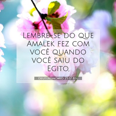 Picture 07 - Deuteronômio 25:17 BSL - Lembre-se do que Amalek fez com você quando - Bible Verse Picture
