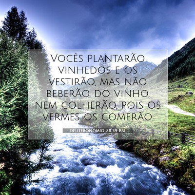 Picture 07 - Deuteronômio 28:39 BSL - Vocês plantarão vinhedos e os vestirão, mas - Bible Verse Picture