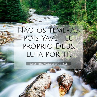 Picture 07 - Deuteronômio 3:22 BSL - Não os temerás; pois Yavé, teu próprio Deus, - Bible Verse Picture