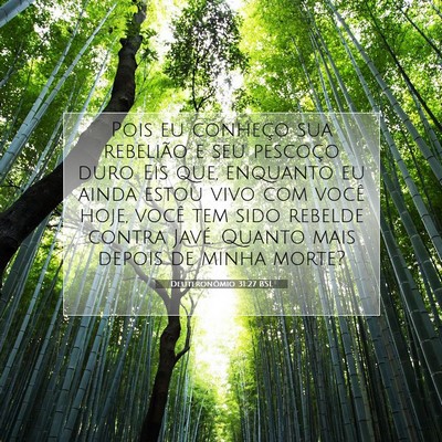 Picture 07 - Deuteronômio 31:27 BSL - Pois eu conheço sua rebelião e seu pescoço - Bible Verse Picture