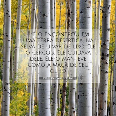 Picture 07 - Deuteronômio 32:10 BSL - Ele o encontrou em uma terra desértica, na selva - Bible Verse Picture