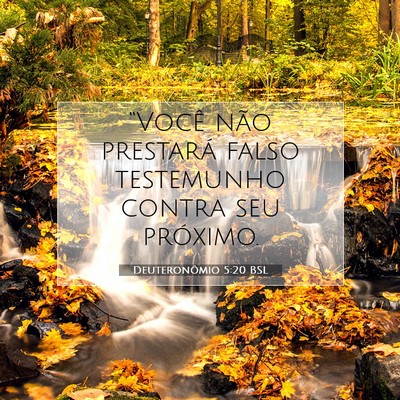 Picture 07 - Deuteronômio 5:20 BSL - “Você não prestará falso testemunho contra - Bible Verse Picture