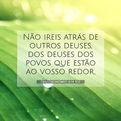 Picture 07 - Deuteronômio 6:14 BSL - Não ireis atrás de outros deuses, dos deuses - Bible Verse Picture