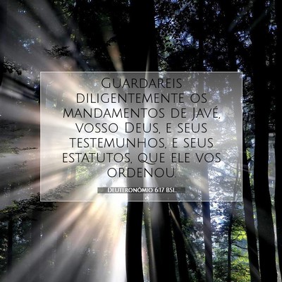 Picture 07 - Deuteronômio 6:17 BSL - Guardareis diligentemente os mandamentos de - Bible Verse Picture