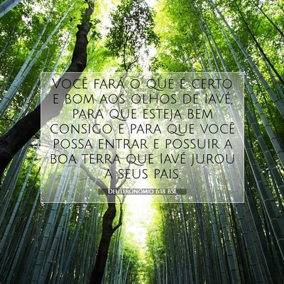 Picture 07 - Deuteronômio 6:18 BSL - Você fará o que é certo e bom aos olhos de - Bible Verse Picture