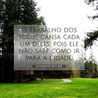 Picture 07 - Eclesiastes 10:15 BSL - O trabalho dos tolos cansa cada um deles; pois - Bible Verse Picture
