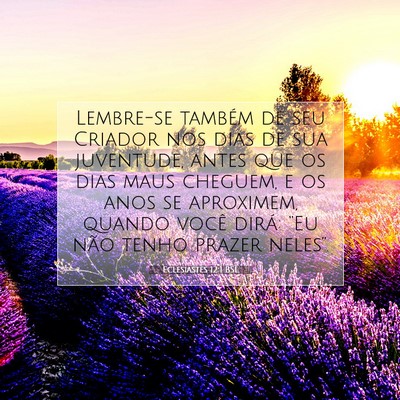 Picture 07 - Eclesiastes 12:1 BSL - Lembre-se também de seu Criador nos dias de sua - Bible Verse Picture