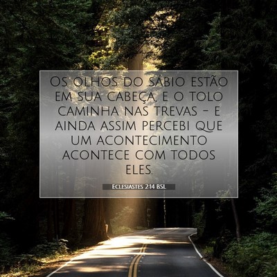 Picture 07 - Eclesiastes 2:14 BSL - Os olhos do sábio estão em sua cabeça, e o - Bible Verse Picture