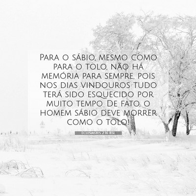 Picture 07 - Eclesiastes 2:16 BSL - Para o sábio, mesmo como para o tolo, não há - Bible Verse Picture