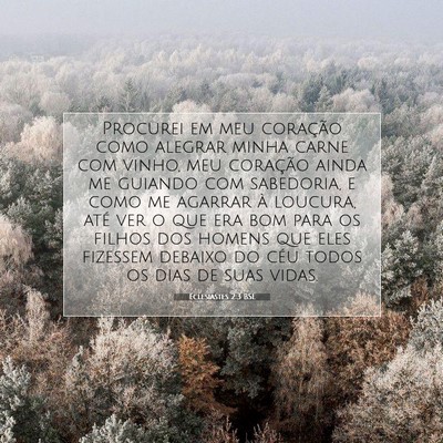 Picture 07 - Eclesiastes 2:3 BSL - Procurei em meu coração como alegrar minha - Bible Verse Picture