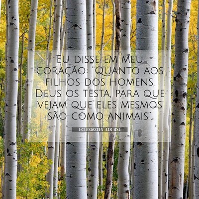 Picture 07 - Eclesiastes 3:18 BSL - Eu disse em meu coração: “Quanto aos filhos - Bible Verse Picture