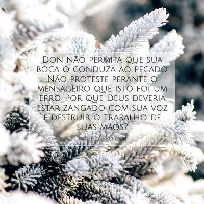 Picture 07 - Eclesiastes 5:6 BSL - Don não permita que sua boca o conduza ao - Bible Verse Picture