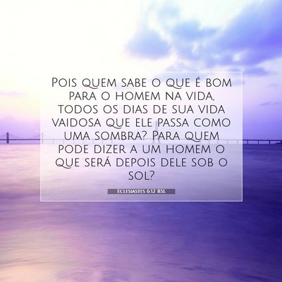 Picture 07 - Eclesiastes 6:12 BSL - Pois quem sabe o que é bom para o homem na vida, - Bible Verse Picture