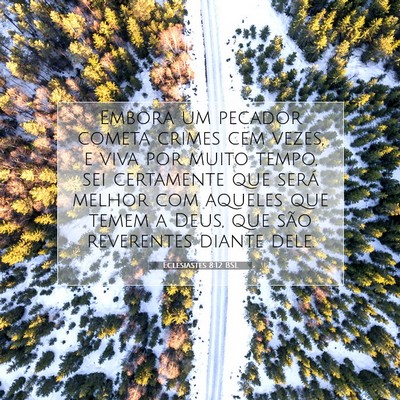 Picture 07 - Eclesiastes 8:12 BSL - Embora um pecador cometa crimes cem vezes, e viva - Bible Verse Picture
