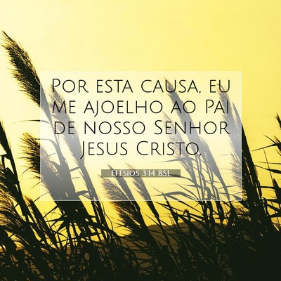 Picture 07 - Efésios 3:14 BSL - Por esta causa, eu me ajoelho ao Pai de nosso - Bible Verse Picture