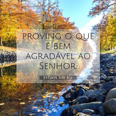 Picture 07 - Efésios 5:10 BSL - proving o que é bem agradável ao - Bible Verse Picture