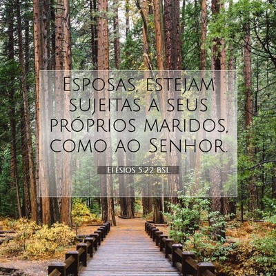 Picture 07 - Efésios 5:22 BSL - Esposas, estejam sujeitas a seus próprios - Bible Verse Picture
