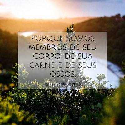 Picture 07 - Efésios 5:30 BSL - porque somos membros de seu corpo, de sua carne e - Bible Verse Picture