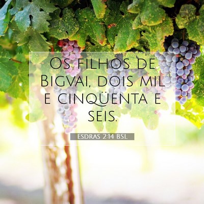 Picture 07 - Esdras 2:14 BSL - Os filhos de Bigvai, dois mil e cinqüenta e - Bible Verse Picture