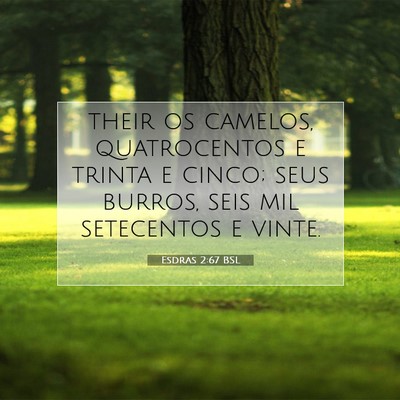 Picture 07 - Esdras 2:67 BSL - their os camelos, quatrocentos e trinta e cinco; - Bible Verse Picture
