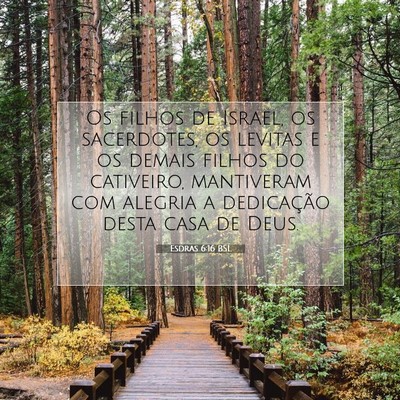 Picture 07 - Esdras 6:16 BSL - Os filhos de Israel, os sacerdotes, os levitas e - Bible Verse Picture