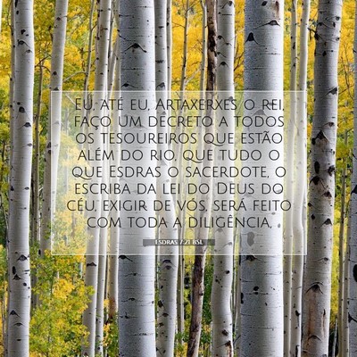 Picture 07 - Esdras 7:21 BSL - Eu, até eu, Artaxerxes o rei, faço um decreto a - Bible Verse Picture