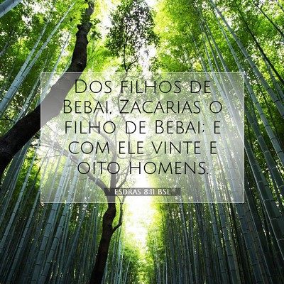 Picture 07 - Esdras 8:11 BSL - Dos filhos de Bebai, Zacarias o filho de Bebai; e - Bible Verse Picture