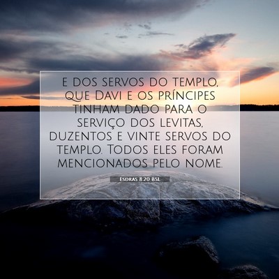Picture 07 - Esdras 8:20 BSL - e dos servos do templo, que Davi e os príncipes - Bible Verse Picture
