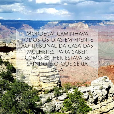 Picture 07 - Ester 2:11 BSL - Mordecai caminhava todos os dias em frente ao - Bible Verse Picture