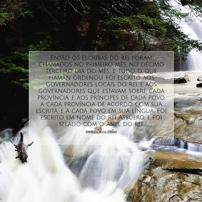 Picture 07 - Ester 3:12 BSL - Então os escribas do rei foram chamados no - Bible Verse Picture