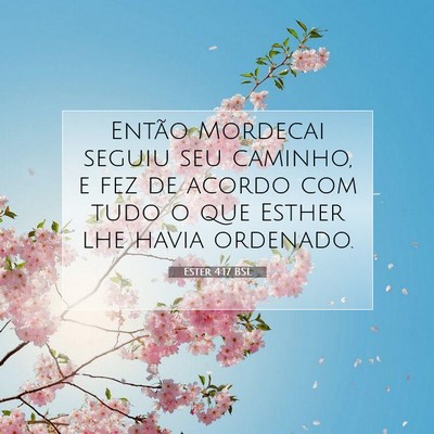 Picture 07 - Ester 4:17 BSL - Então Mordecai seguiu seu caminho, e fez de - Bible Verse Picture
