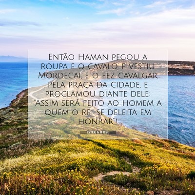 Picture 07 - Ester 6:11 BSL - Então Haman pegou a roupa e o cavalo, e vestiu - Bible Verse Picture