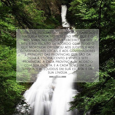 Picture 07 - Ester 8:9 BSL - Então os escribas do rei foram chamados naquela - Bible Verse Picture