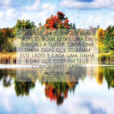 Picture 07 - Ezequiel 1:23 BSL - Debaixo da extensão, suas asas estavam retas, - Bible Verse Picture