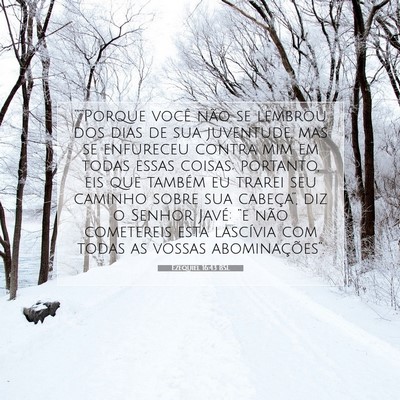 Picture 07 - Ezequiel 16:43 BSL - “'“Porque você não se lembrou dos dias de - Bible Verse Picture