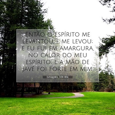 Picture 07 - Ezequiel 3:14 BSL - Então o Espírito me levantou, e me levou; e eu - Bible Verse Picture