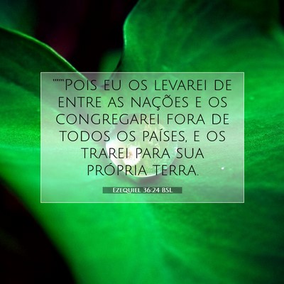 Picture 07 - Ezequiel 36:24 BSL - “““Pois eu os levarei de entre as nações - Bible Verse Picture