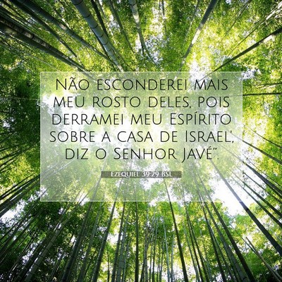 Picture 07 - Ezequiel 39:29 BSL - Não esconderei mais meu rosto deles, pois - Bible Verse Picture