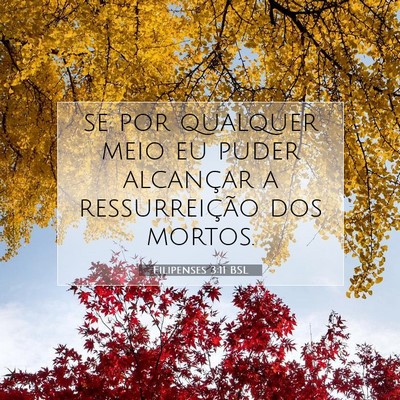 Picture 07 - Filipenses 3:11 BSL - se por qualquer meio eu puder alcançar a - Bible Verse Picture