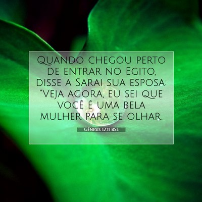Picture 07 - Gênesis 12:11 BSL - Quando chegou perto de entrar no Egito, disse a - Bible Verse Picture